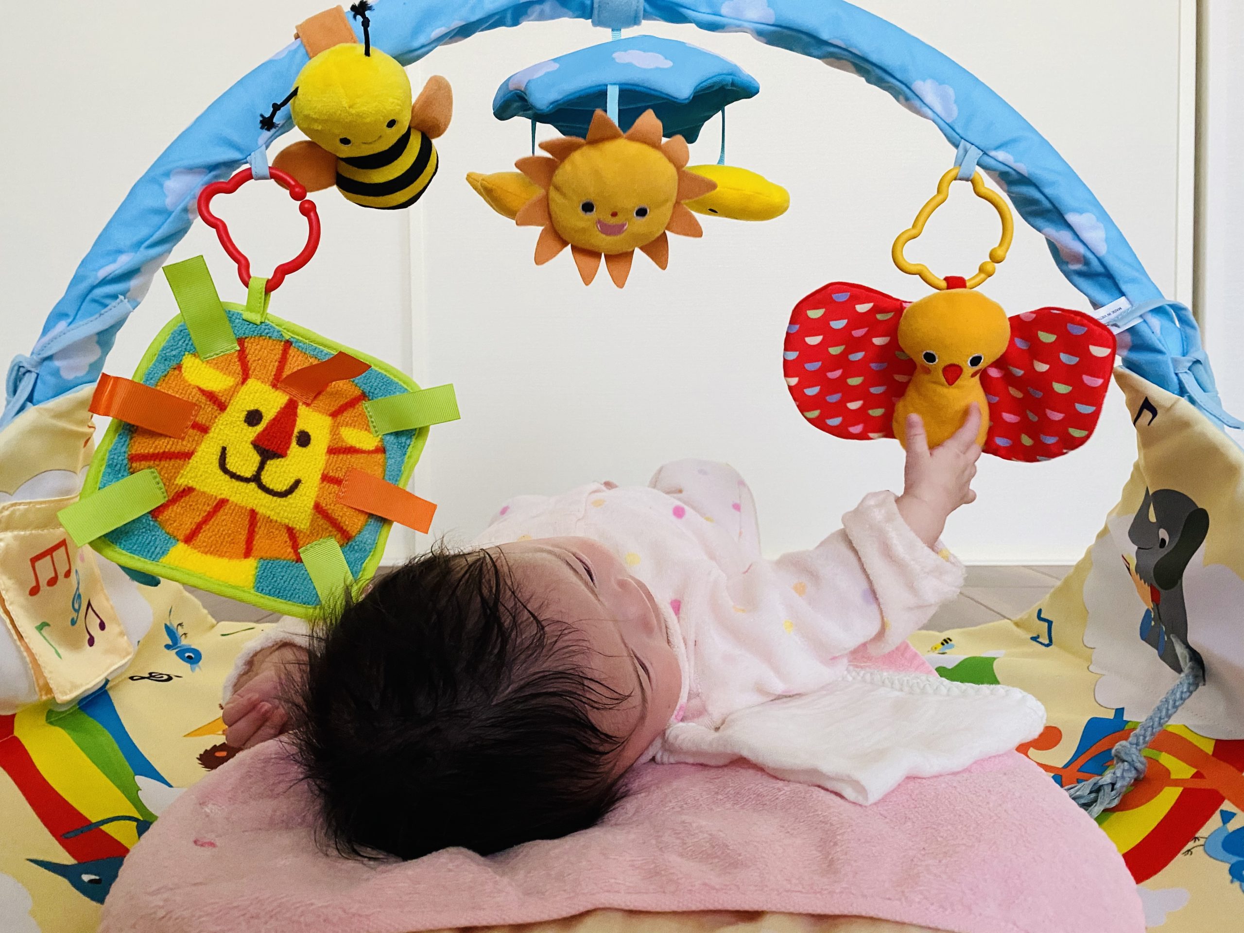 【2m】こどもちゃれんじbabyの特別号と「ベビージム」届きました！